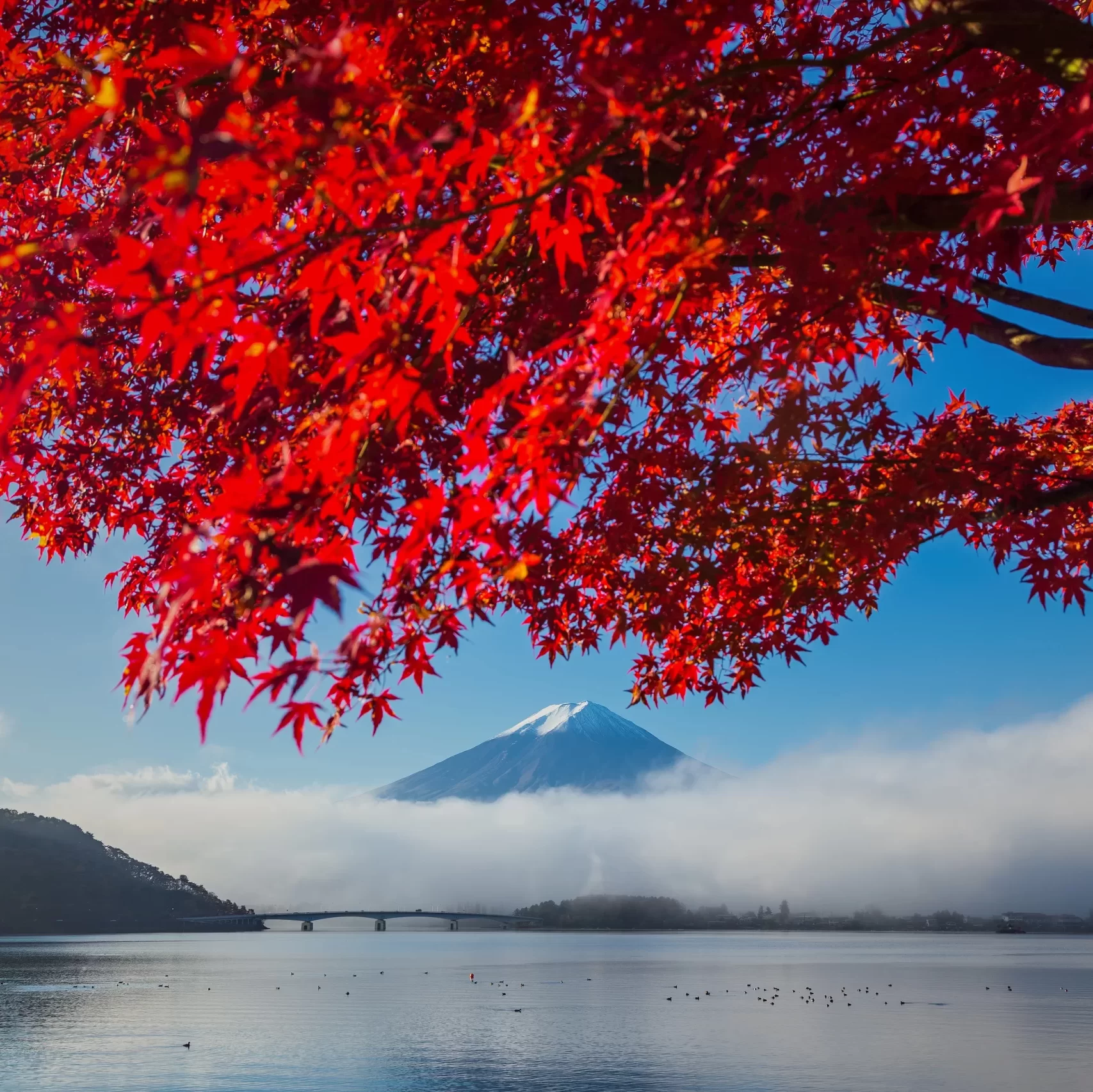 Autum in the mountains