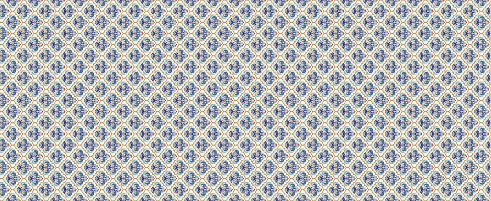 The MAD 505 design