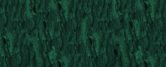 MAD 054