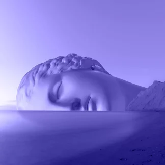 Purple head